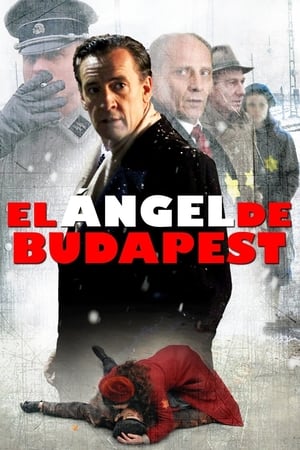 En dvd sur amazon El ángel de Budapest