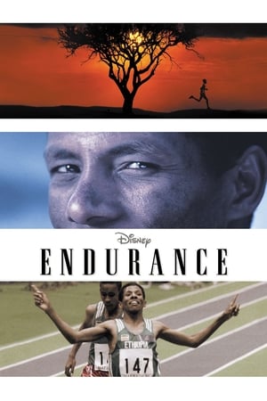 En dvd sur amazon Endurance