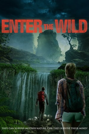 En dvd sur amazon Enter the Wild