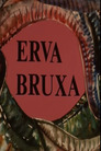 Erva Bruxa