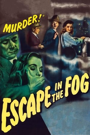 En dvd sur amazon Escape in the Fog