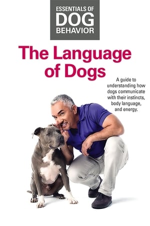 En dvd sur amazon Essentials of Dog Behavior: The Language of Dogs