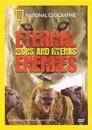 Eternal Enemies: Lions & Hyenas