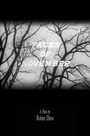 En dvd sur amazon Faces of November