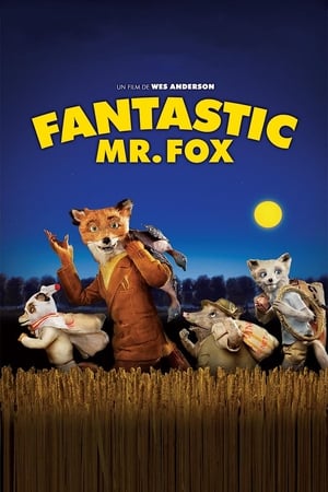En dvd sur amazon Fantastic Mr. Fox