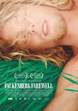 En dvd sur amazon Farväl Falkenberg