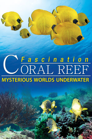 En dvd sur amazon Fascination Coral Reef: Mysterious Worlds Underwater