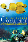 Fascination Coral Reef Mondes Mystérieux Sous-Marin
