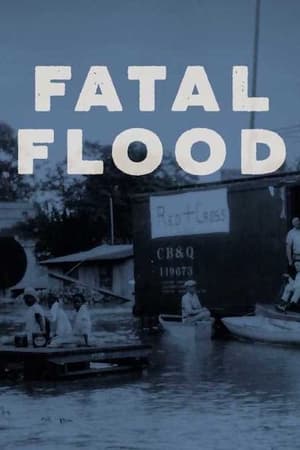 En dvd sur amazon Fatal Flood