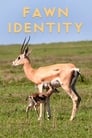 Fawn Identity