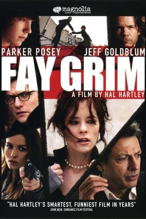 En dvd sur amazon Fay Grim