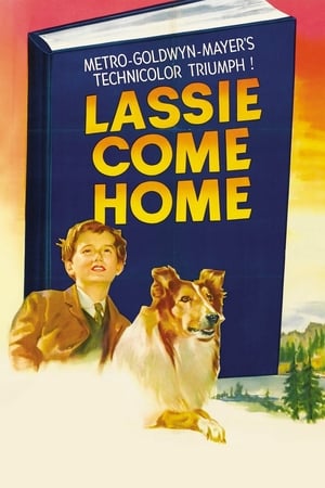 En dvd sur amazon Lassie Come Home