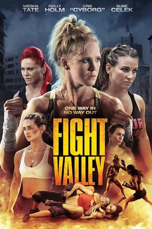 En dvd sur amazon Fight Valley