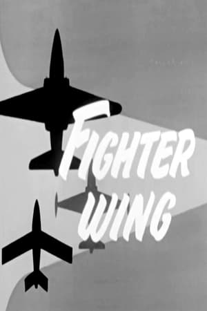 En dvd sur amazon Fighter Wing