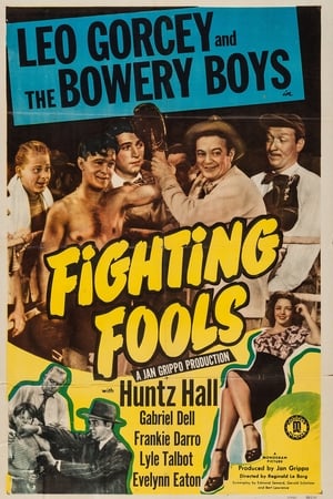 En dvd sur amazon Fighting Fools
