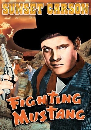 En dvd sur amazon Fighting Mustang