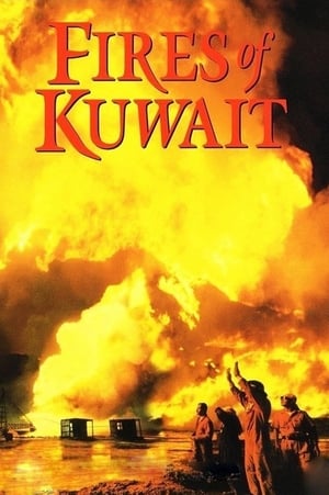 En dvd sur amazon Fires of Kuwait