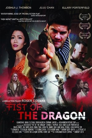 En dvd sur amazon Fist of the Dragon