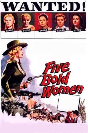 En dvd sur amazon Five Bold Women