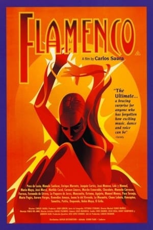 En dvd sur amazon Flamenco