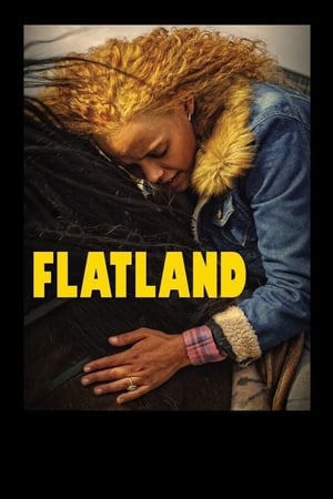 En dvd sur amazon Flatland