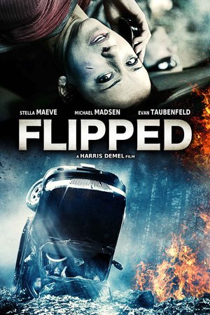 En dvd sur amazon Flipped