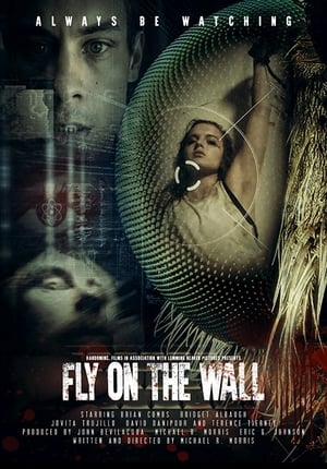 En dvd sur amazon Fly on the Wall