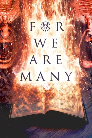 En dvd sur amazon For We Are Many