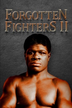 En dvd sur amazon Forgotten Fighters II