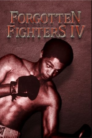 En dvd sur amazon Forgotten Fighters IV