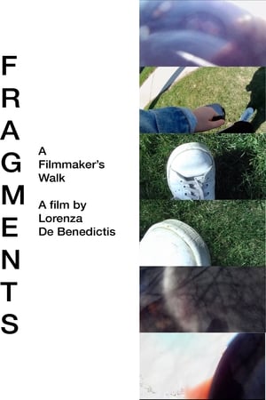 En dvd sur amazon Fragments: A Filmmaker's Walk