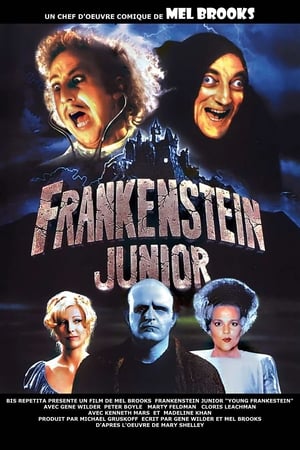 En dvd sur amazon Young Frankenstein