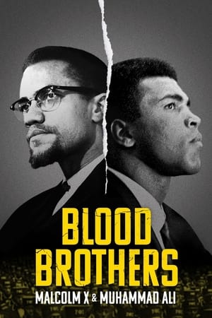En dvd sur amazon Blood Brothers: Malcolm X & Muhammad Ali