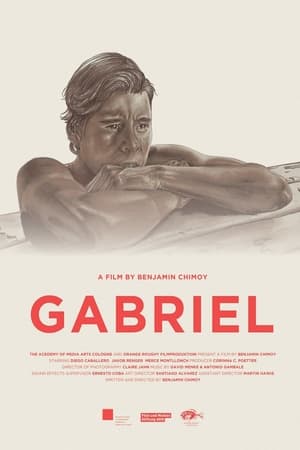 En dvd sur amazon Gabriel