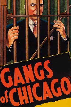 En dvd sur amazon Gangs of Chicago