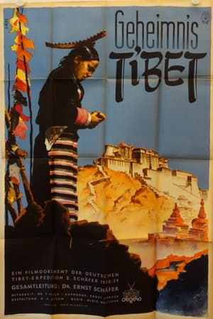 En dvd sur amazon Geheimnis Tibet