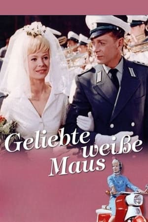 En dvd sur amazon Geliebte weiße Maus