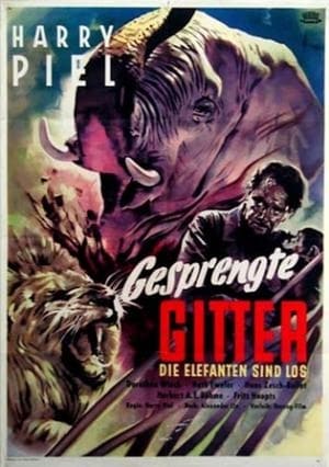 En dvd sur amazon Gesprengte Gitter