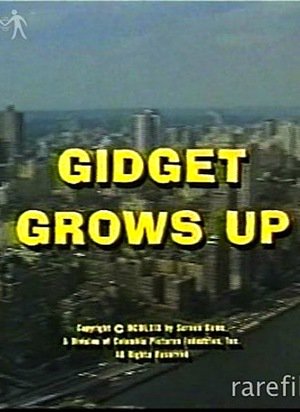 En dvd sur amazon Gidget Grows Up