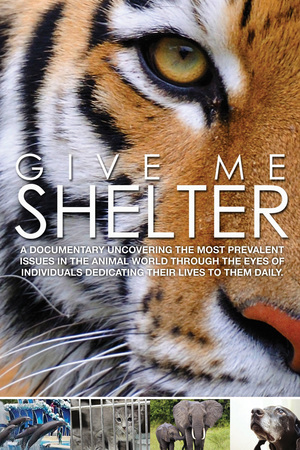 En dvd sur amazon Give Me Shelter