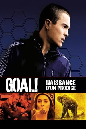 En dvd sur amazon Goal!