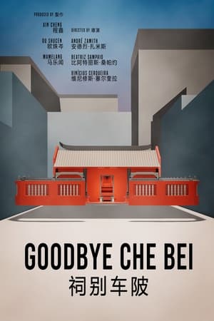 En dvd sur amazon Goodbye Che Bei