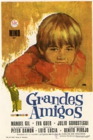 En dvd sur amazon Grandes Amigos