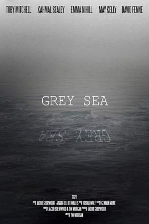 En dvd sur amazon Grey Sea