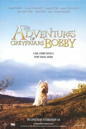 En dvd sur amazon The Adventures of Greyfriars Bobby