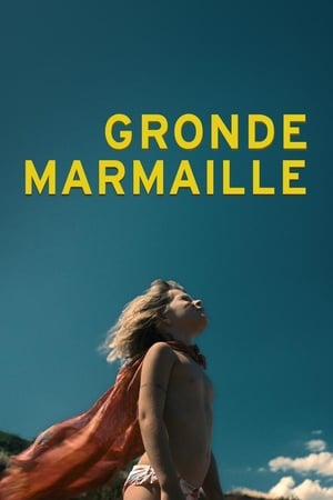 En dvd sur amazon Gronde marmaille