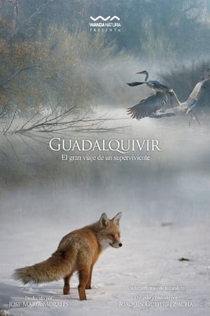 En dvd sur amazon Guadalquivir
