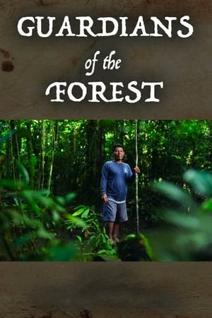 En dvd sur amazon Guardians of the Forest