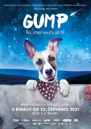 En dvd sur amazon Gump – pes, který naučil lidi žít