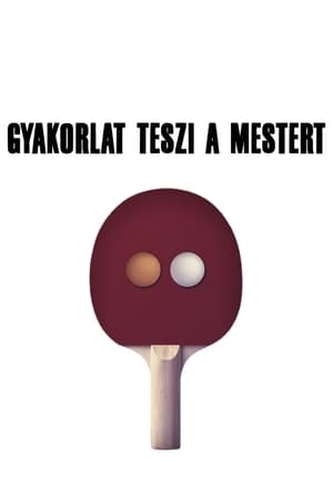 En dvd sur amazon Gyakorlat teszi a mestert